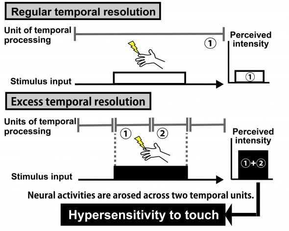 Relationship between hypersensitivity to touch and excess tactile temporal resolution in individuals with autism-spectrum disorders